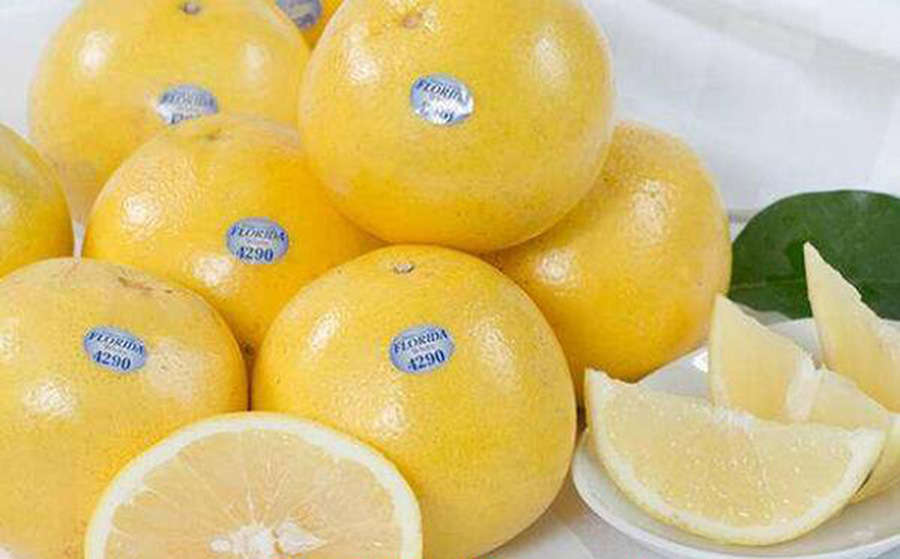 163055951.jpg 163055951.jpg