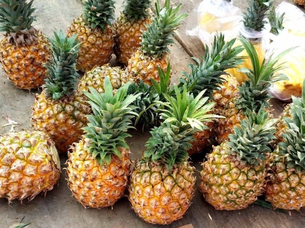 084738171.jpg 084738171.jpg