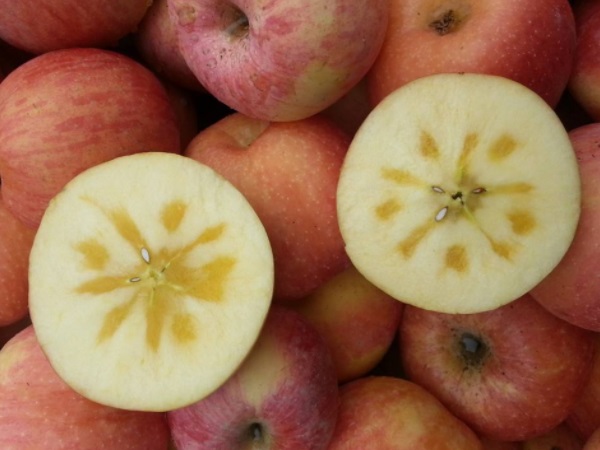 102010531.jpg 102010531.jpg