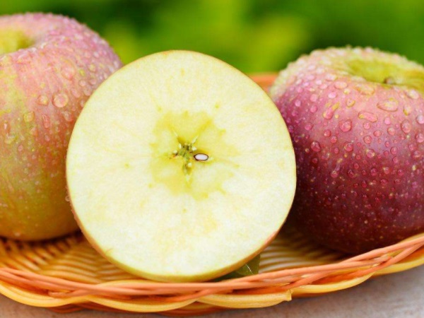 102021331.jpg 102021331.jpg